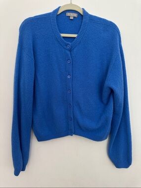 J. Crew Blue Button-Up Cardigan